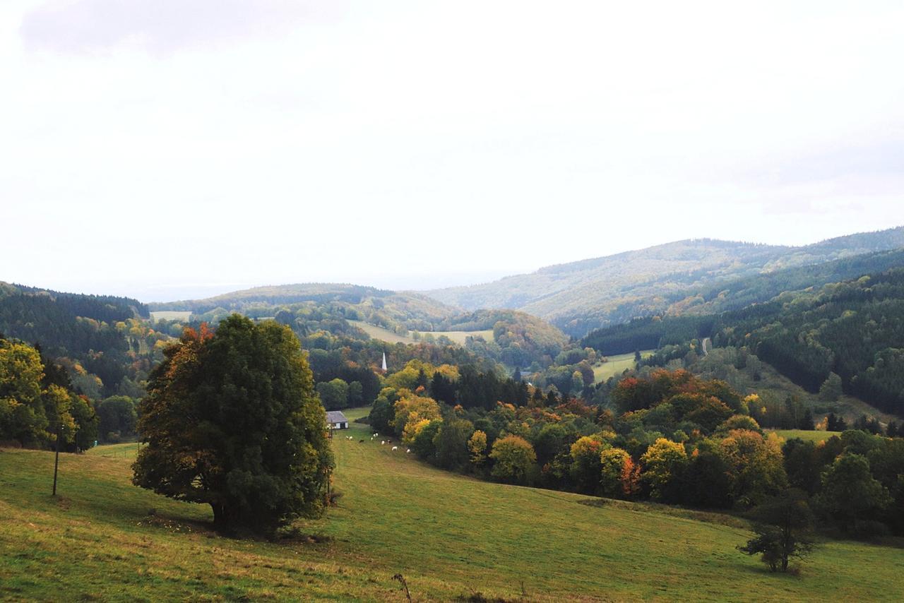 Apartamenty Bm'Kruk Stronie Śląskie Buitenkant foto